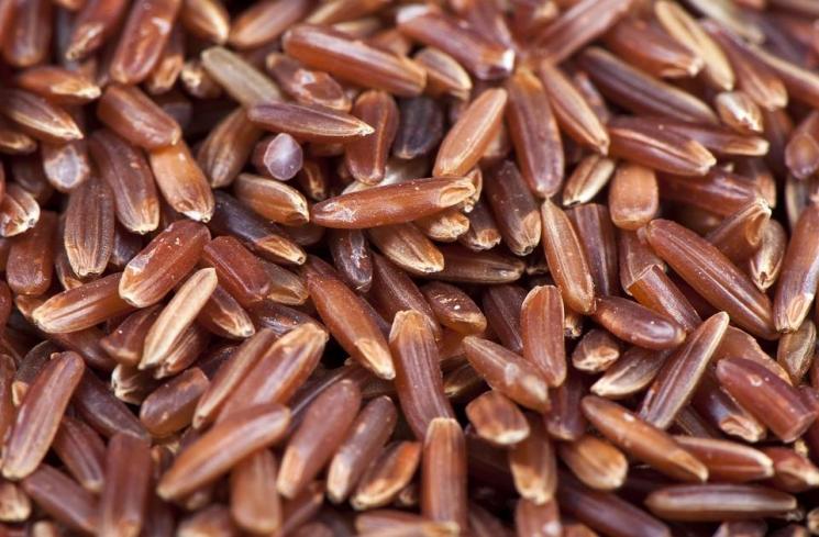 Ingin Turunkan Gula dan Kecilkan Pinggang? Yuk Konsumsi Biji-bijian Utuh